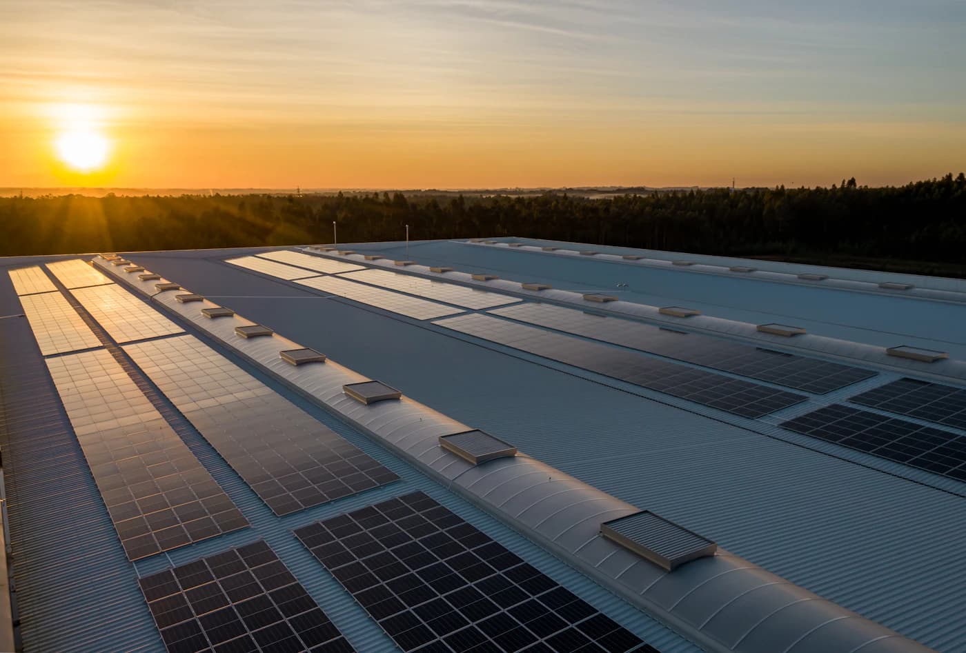Cubierta de una nave industrial con filas de placas solares al atardecer
